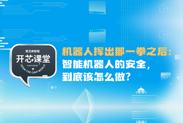 開芯課堂｜機器人揮出那一拳之后：智能機器人的安全，到底該怎么做？